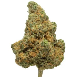 Blue Dream THCa Flower - Sativa-Dominant Hybrid Premium Flower