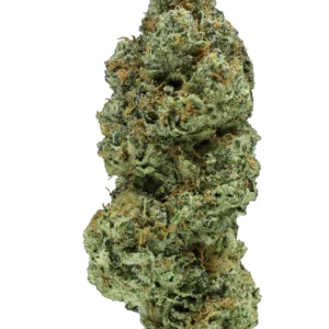 Cereal Milk THCa Flower - Hybrid Premium Flower