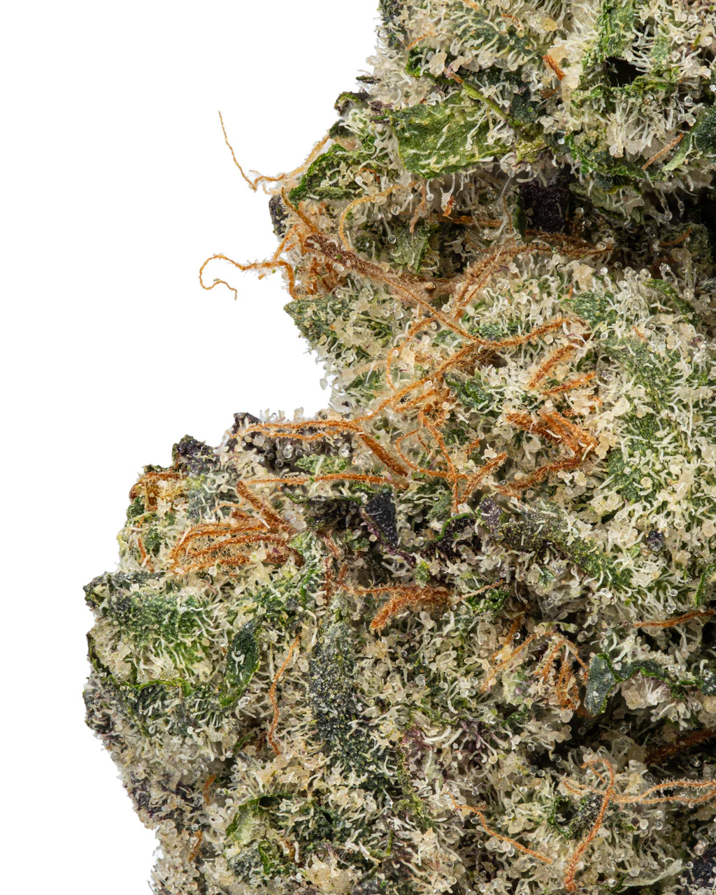 Gary Payton THCa Flower - Hybrid Premium Flower - Image 2