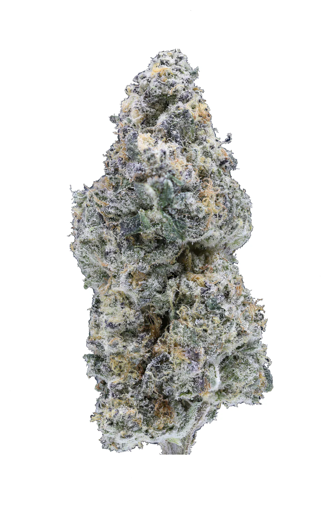 Georgia Pie THCa Flower - Hybrid Premium Flower