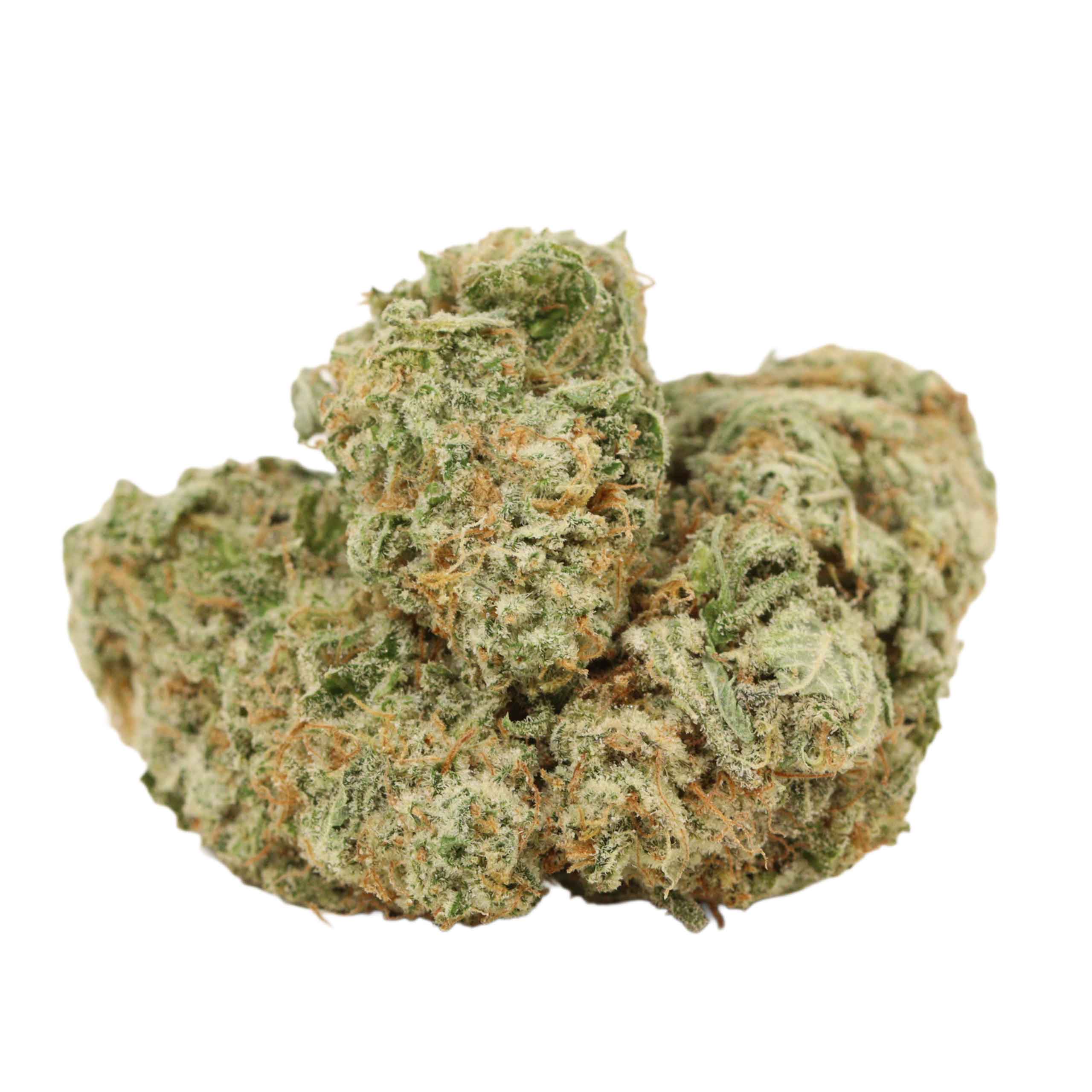 Girl Scout Cookies THCa Flower - Hybrid Premium Flower