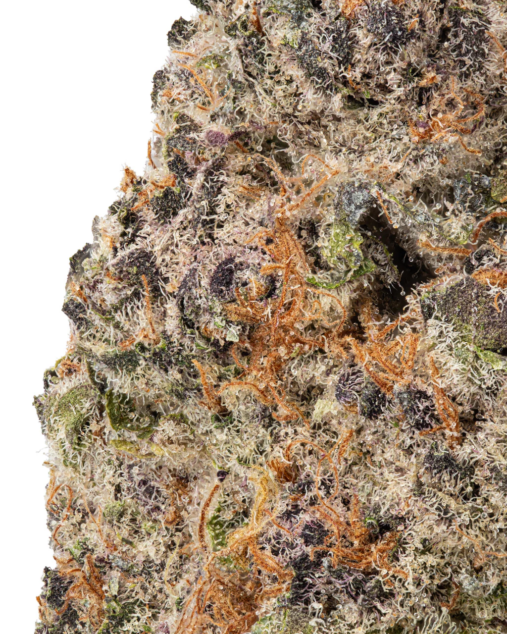 Granddaddy Purple (GDP) THCa Flower - Indica Premium Flower - Image 2