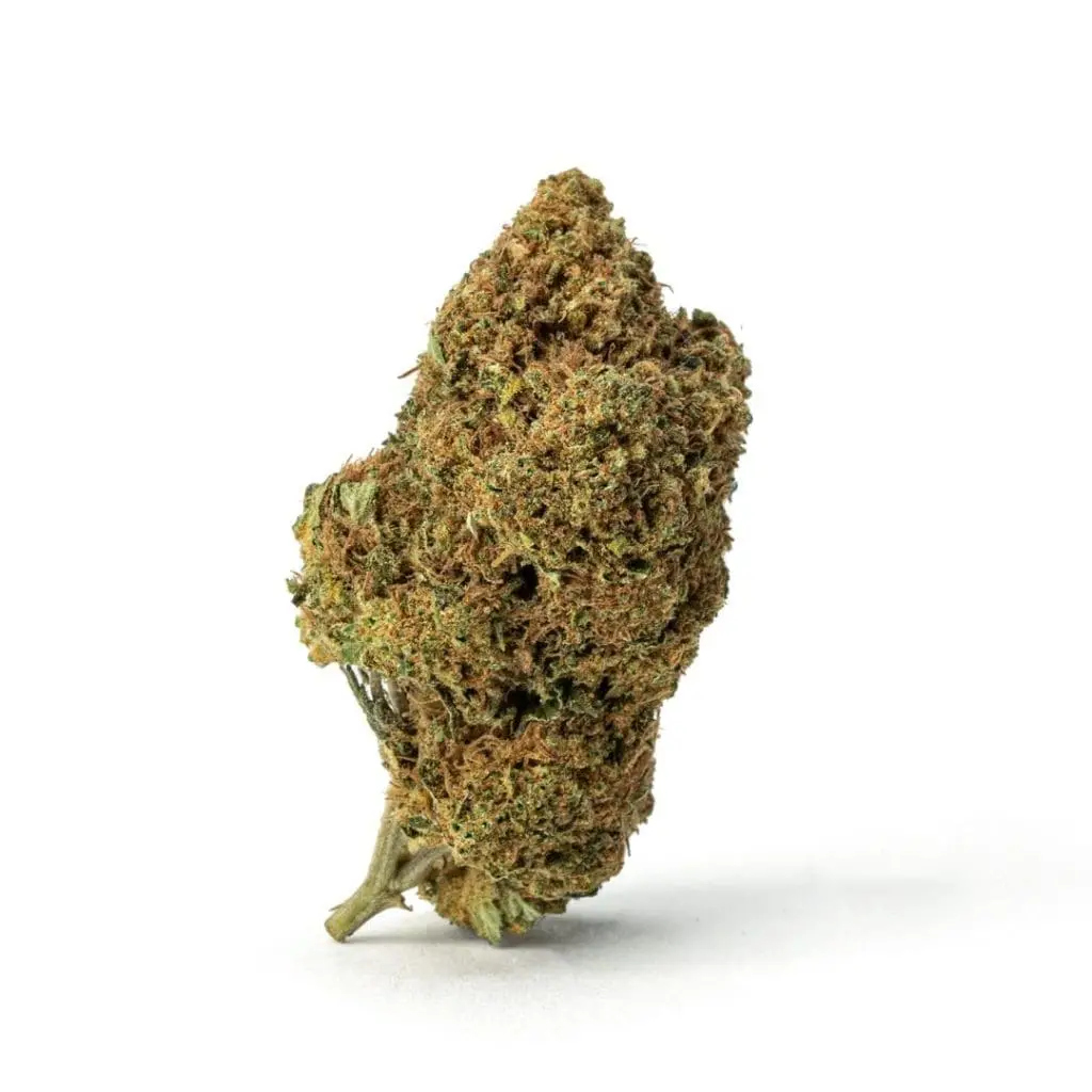 Sex Panther THCa Flower - Indica Premium Flower