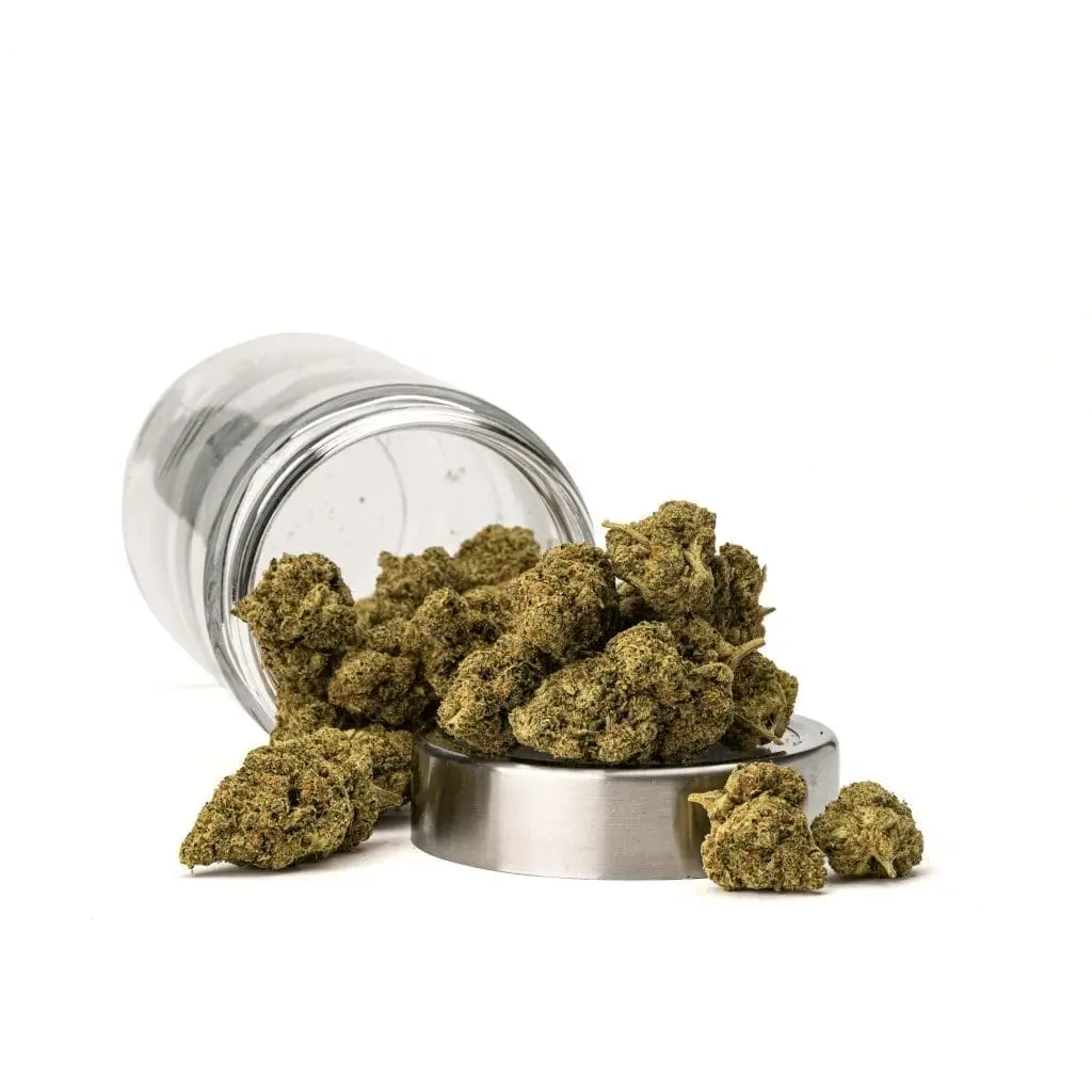 Sex Panther THCa Flower - Indica Premium Flower - Image 2