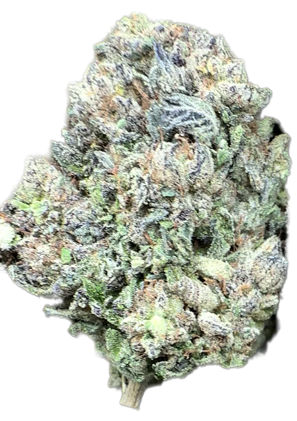 Jet Fuel (G6) THCa Flower - Sativa-Dominant Hybrid Premium Flower