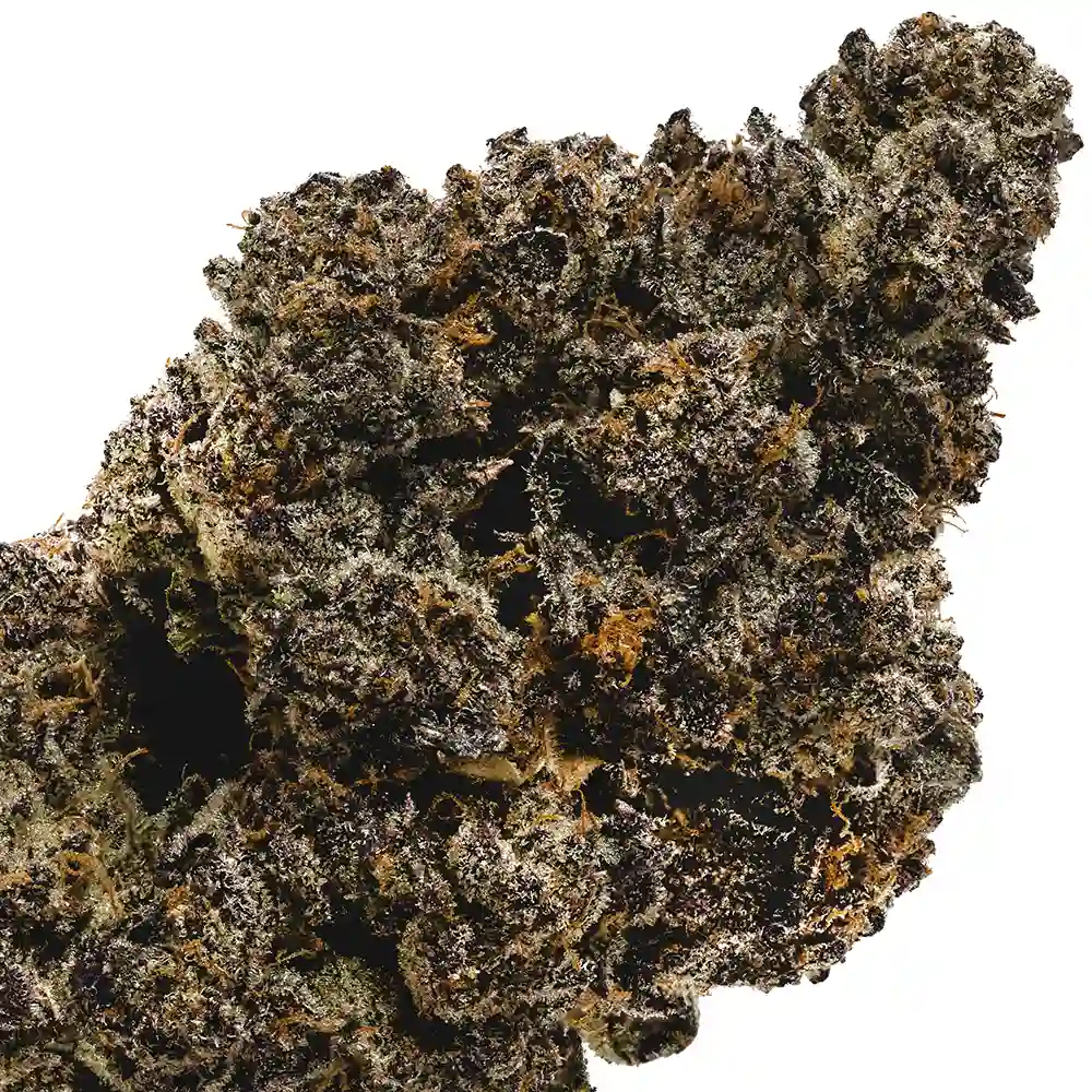 RS11 (Rainbow Sherbet #11) THCa Flower - Hybrid Premium Flower