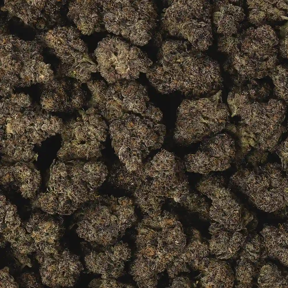 RS11 (Rainbow Sherbet #11) THCa Flower - Hybrid Premium Flower - Image 2