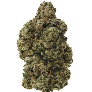 White Runtz THCa Flower - Hybrid Premium Flower