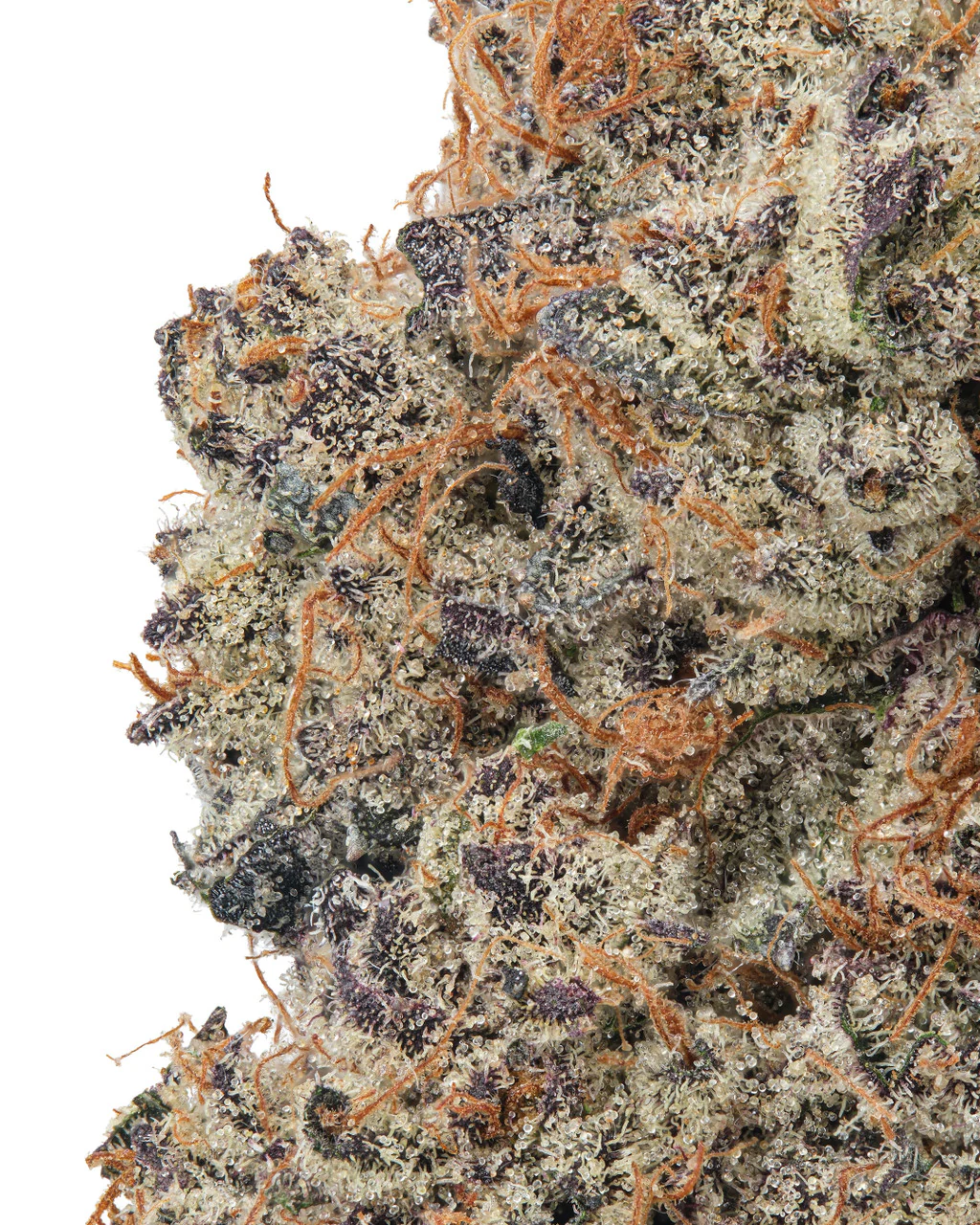 Lemon Cherry Gelato (LCG) THCa Flower - Hybrid Premium Flower - Image 2