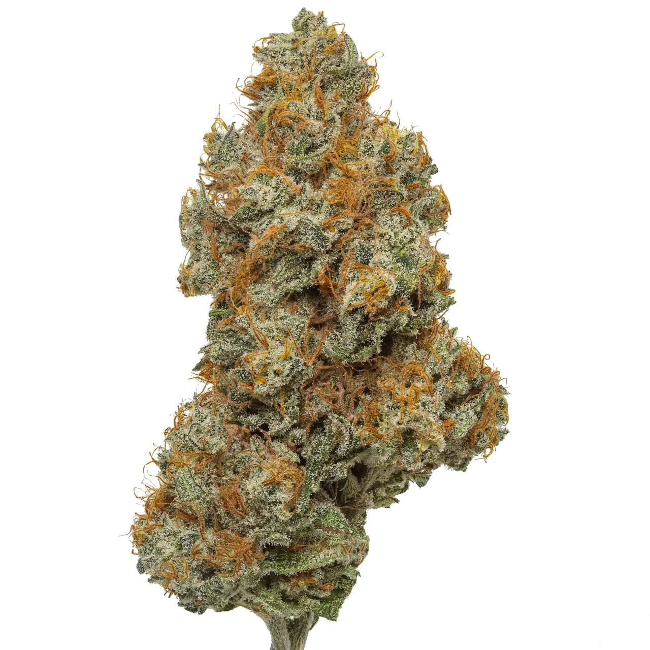 Northern Lights THCa Flower - Indica Premium Flower
