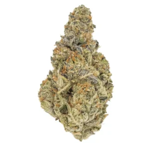 Papaya Bomb THCa Flower - Hybrid Premium Flower