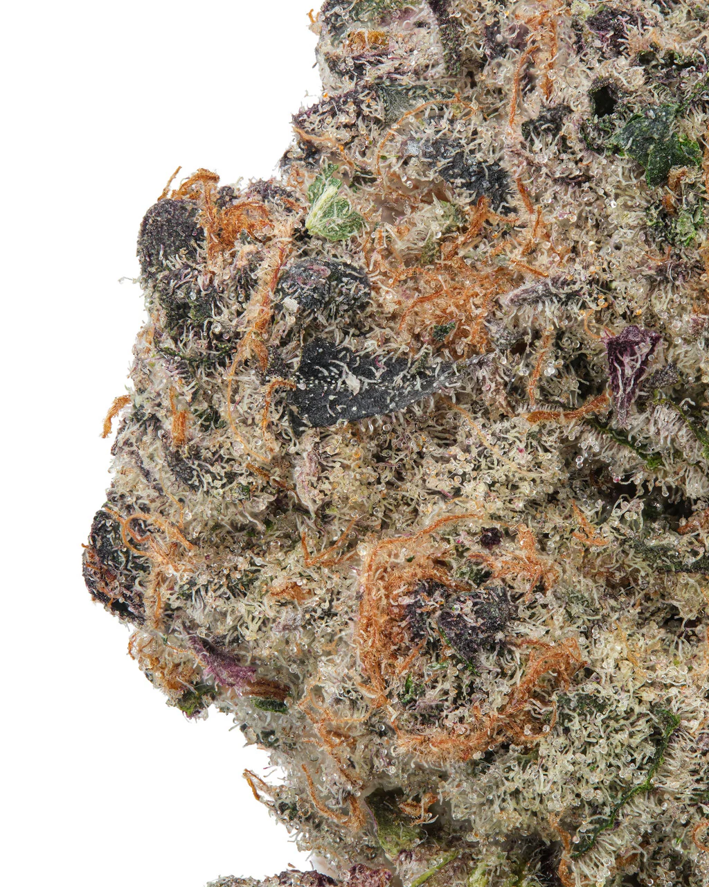 Super Boof THCa Flower - Hybrid Premium Flower - Image 2