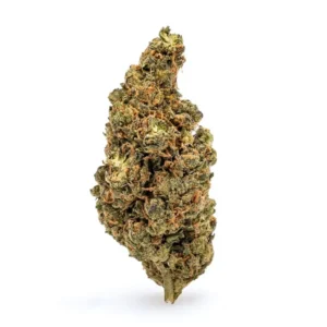 Amnesia Haze THCa Flower - Sativa Premium Flower