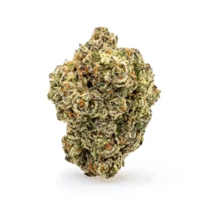 Pineapple Express THCa Flower - Sativa-Dominant Hybrid Premium Flower