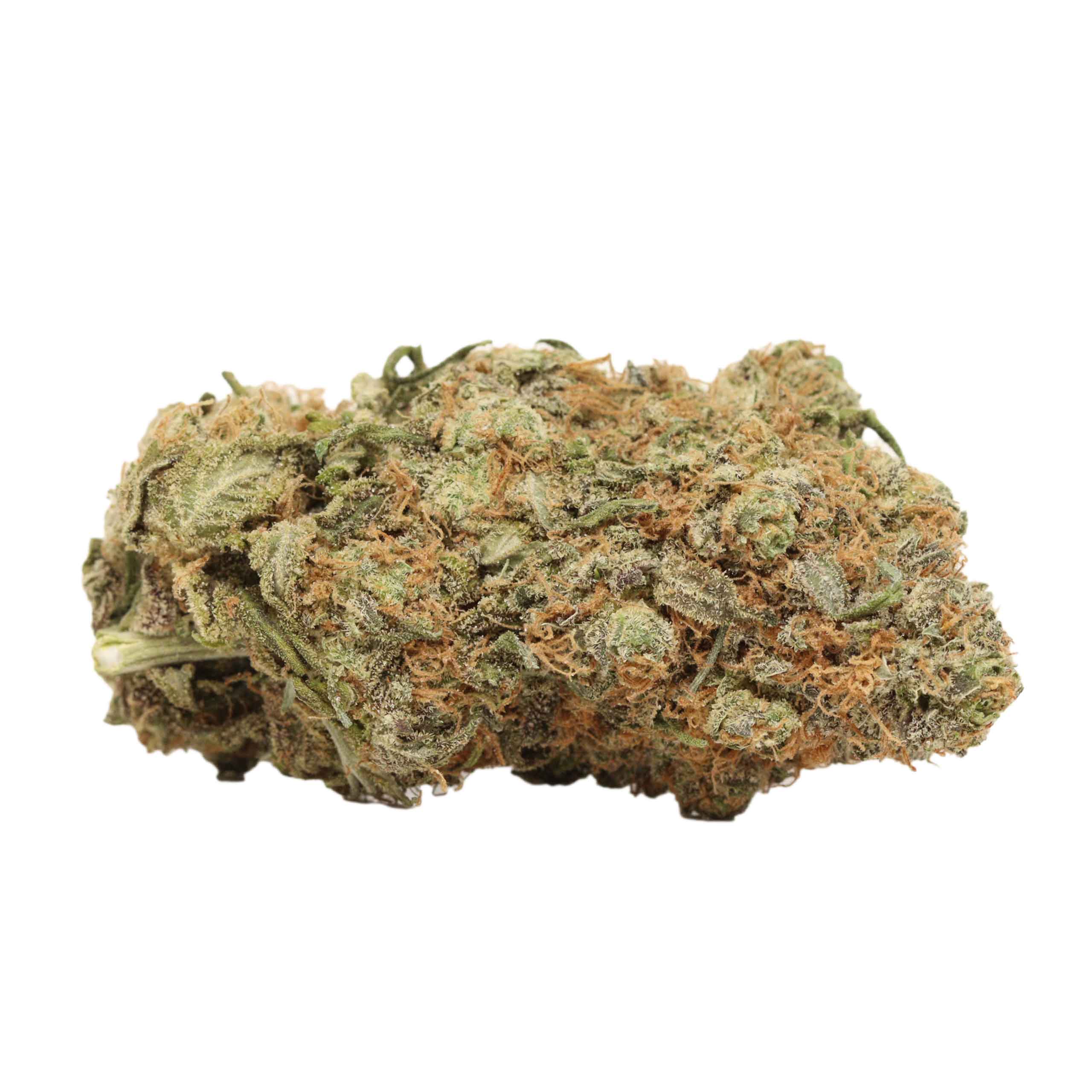 Thin Mint Girl Scout Cookies (Thin Mint) THCa Flower - Hybrid Premium Flower