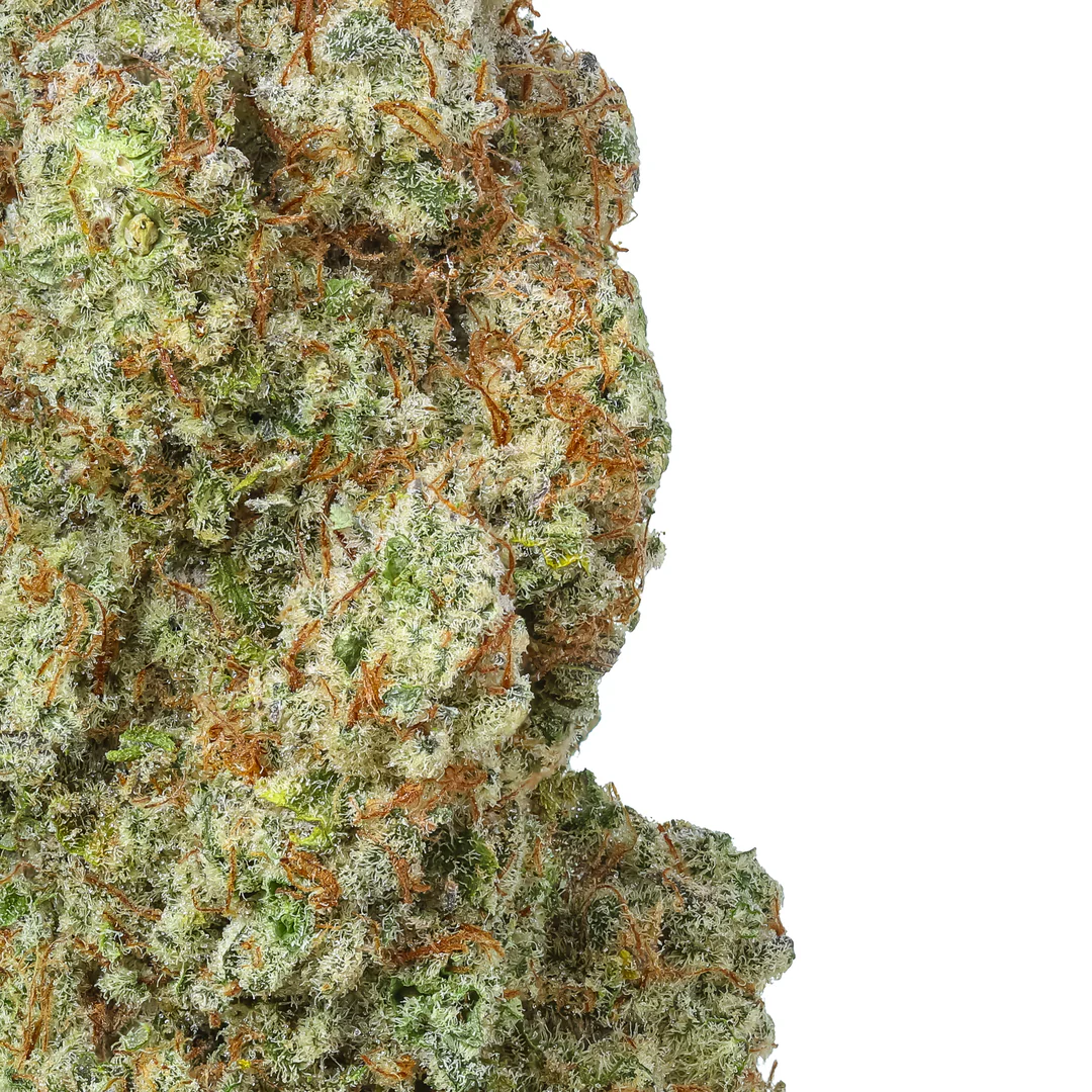 Trainwreck THCa Flowerr - Sativa Premium Flower - Image 2