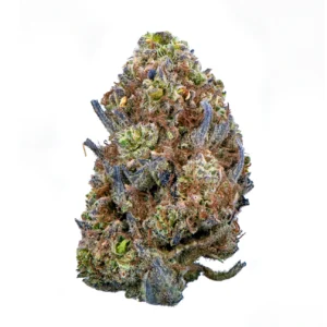 Indoor Sour Jet Fuel CBD Flower - Hybrid Premium Flower