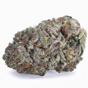 GMO Cookies (Garlic Cookies) THCa Flower - Indica Premium Flower