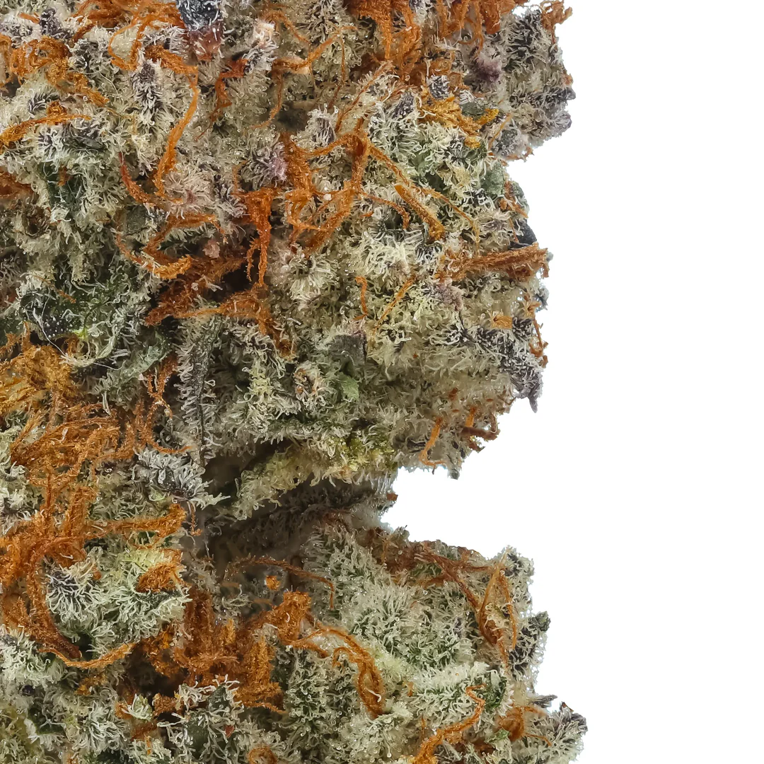 Gelato Bremix THCa Flower - Triploid Premium Flower - Image 2