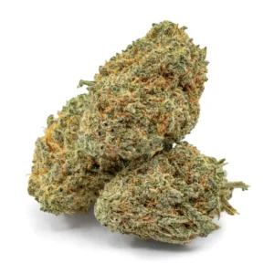 Kush Mints THCa Flower - Hybrid Premium Flower