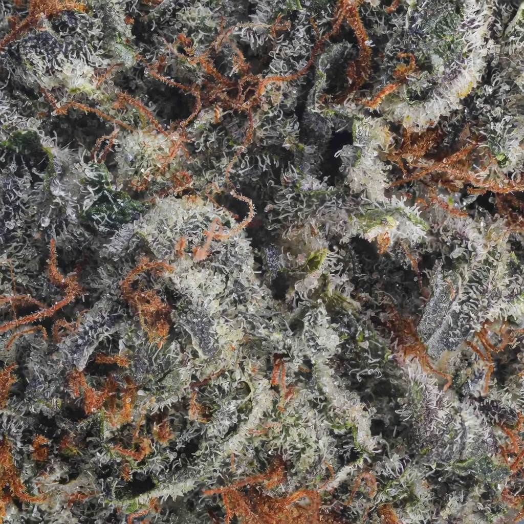 GMO Cookies (Garlic Cookies) THCa Flower - Indica Premium Flower - Image 3