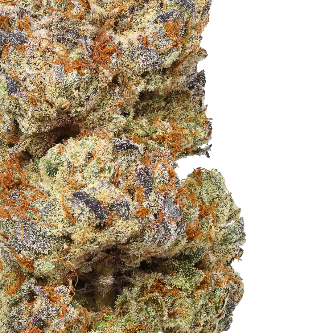 OG Kush THCa Flower - Hybrid Premium Flower - Image 2