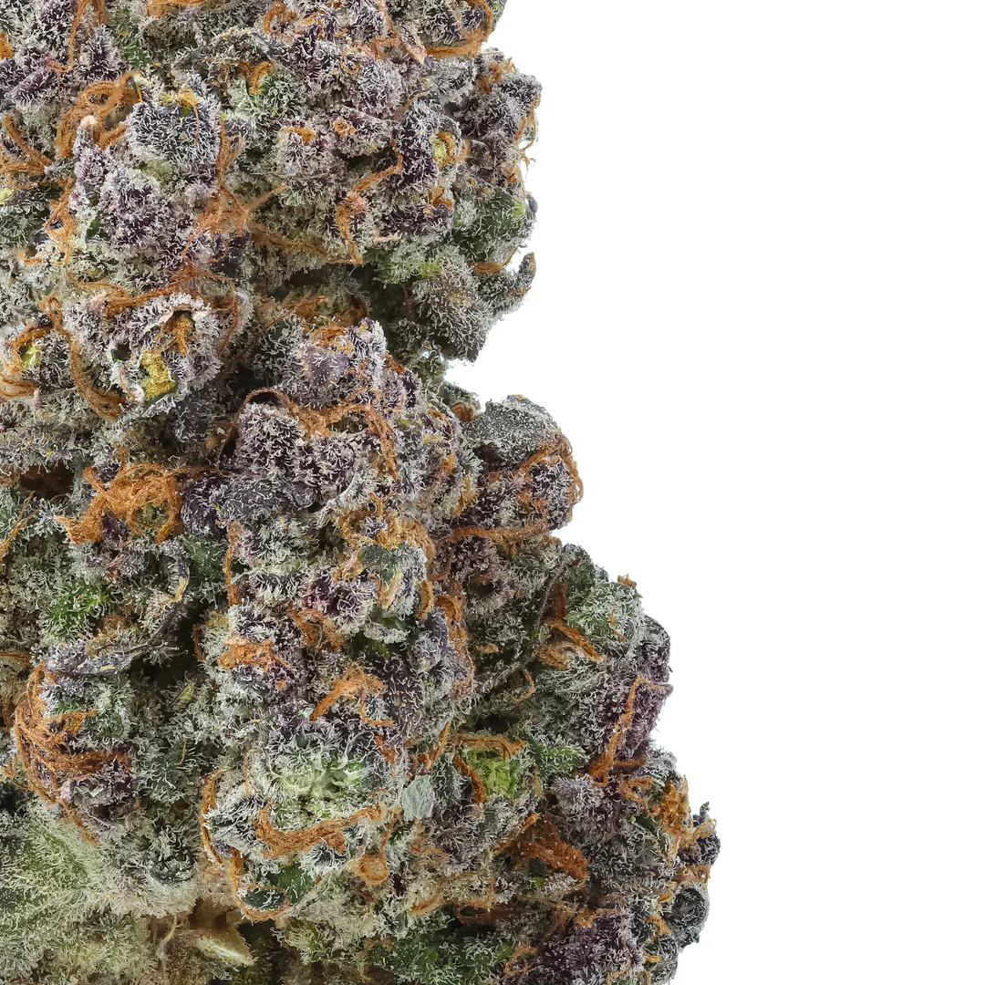 Rainbow Rose THCa Flower - Hybrid Premium Flower - Image 2